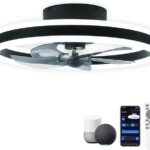 CHANFOK Smart Ceiling Fans with Lights Compatible with Alexa and Google Assistant 20", Low Profile Ceiling Fan with Light and Remote & APP Control, 6-Speed Reversible Blades (Black