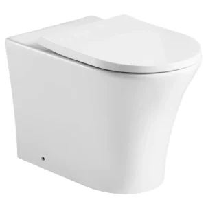 Back to Wall Toilet with Soft Close Seat