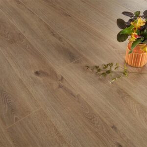 Series Woods Professional 10mm Laminate